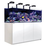 Red Sea Reefer G2+ 900 Aquarium showcasing colorful corals and fish under bright LED lights.
