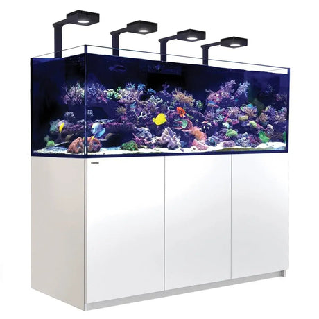 Red Sea Reefer G2+ 900 Aquarium showcasing colorful corals and fish under bright LED lights.