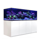 Red Sea Reefer G2+ S1000 aquarium with vibrant corals and fish, displayed on a sleek white cabinet.