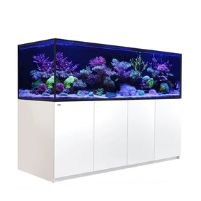 Red Sea Reefer G2+ S1000 aquarium with vibrant corals and fish, displayed on a sleek white cabinet.