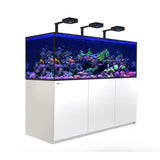 Red Sea Reefer G2+ S850 Aquarium with vibrant corals and marine life under LED lights.