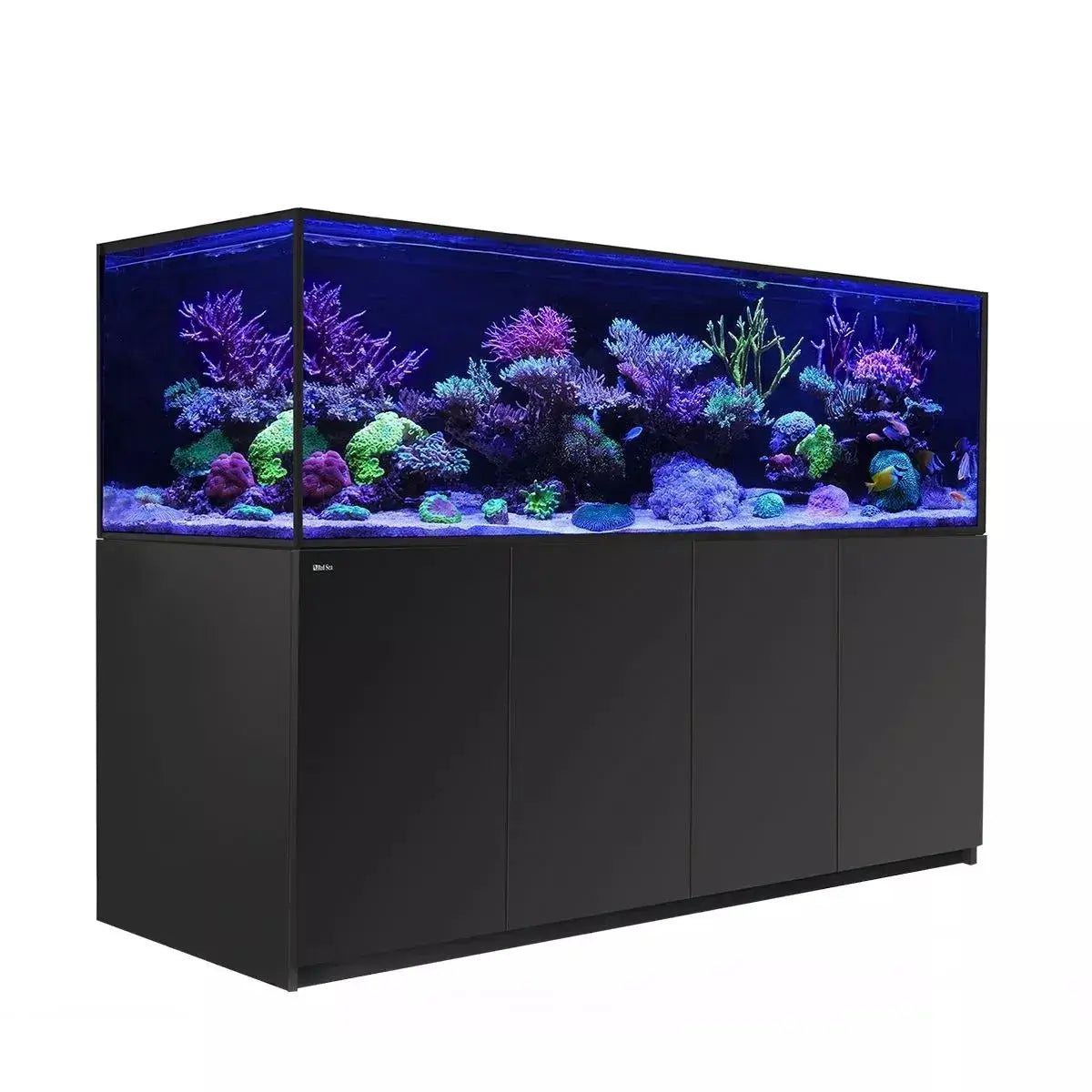 Red Sea Reefer G2+ S1000 MAX Black aquarium with vibrant coral and marine life under blue lighting.