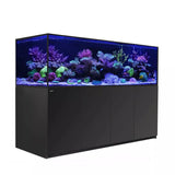 Red Sea Reefer G2+ S1000 MAX Black aquarium with vibrant coral and marine life under blue lighting.