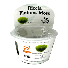 Riccia Fluitans Moss TC Tropical Plant packaging in a clear container for planted aquariums.