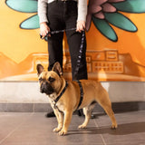 Person holding a dog on a Rogz Fusion Classic Dog Lead in front of vibrant mural.
