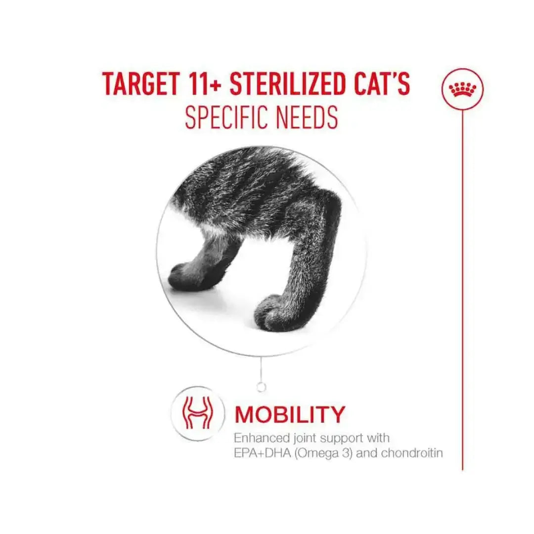 Royal Canin Ageing 11+ Dry Cat Food nutritional benefits for elderly sterilized cats.