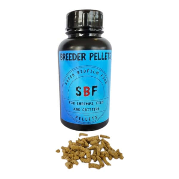 SBF Breeder Choice shrimp and fish food pellets in a bottle with text on packaging.