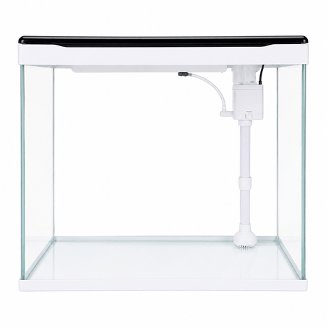 SOBO Crystal Clear Aquarium showcasing its high-quality Starfire Glass and energy-efficient design.