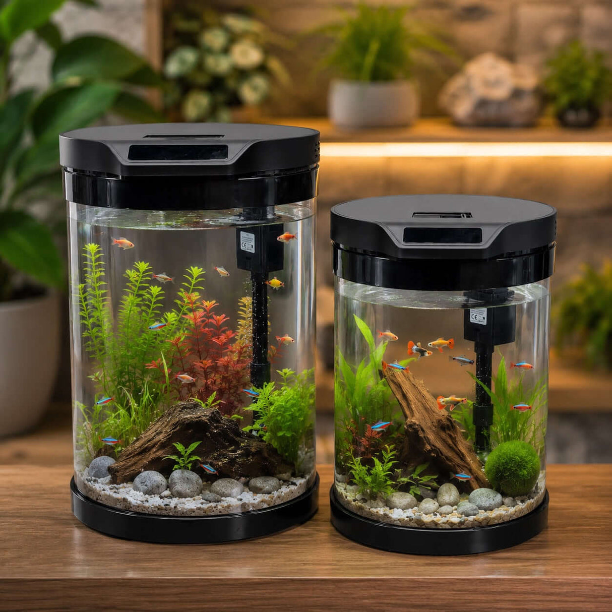 SOBO Q Series Round Shape Aquarium showcasing vibrant aquatic life and lush greenery in a modern cylindrical design.
