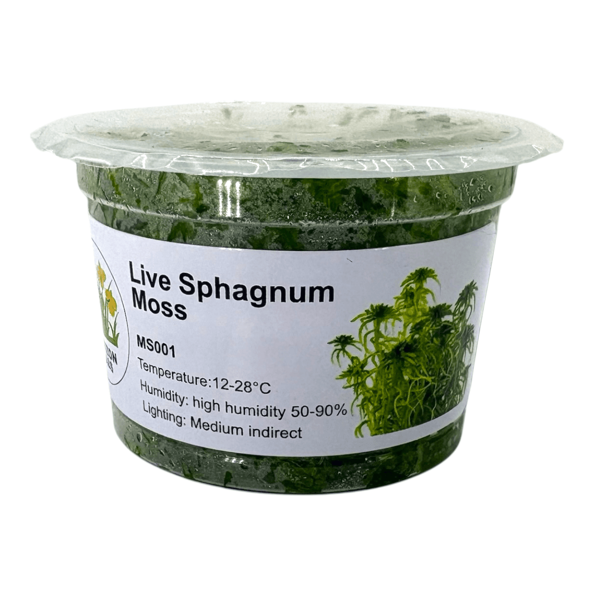 Sphagnum Moss Cup Moss Plant in clear container with care instructions and vibrant green moss.