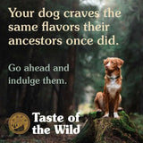 Taste of the Wild Canine High Prairie Dry Dog Food with a happy dog in a forest setting.