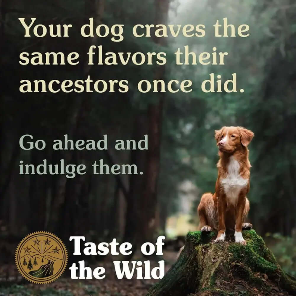 Taste of the Wild Canine High Prairie Puppy Dry Food promotional image featuring a dog in a forest.