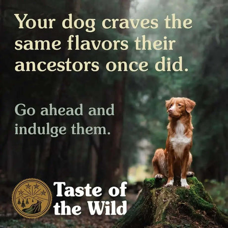 Taste of the Wild Canine High Prairie Puppy Dry Food promotional image featuring a dog in a forest.
