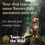 Taste of the Wild Canine Pacific Stream Puppy Food: Dog in the wild with text about ancestral flavors.