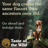 Taste of the Wild Canine Pine Forest Dry Food with a dog standing in a forest, emphasizing ancestral flavors.