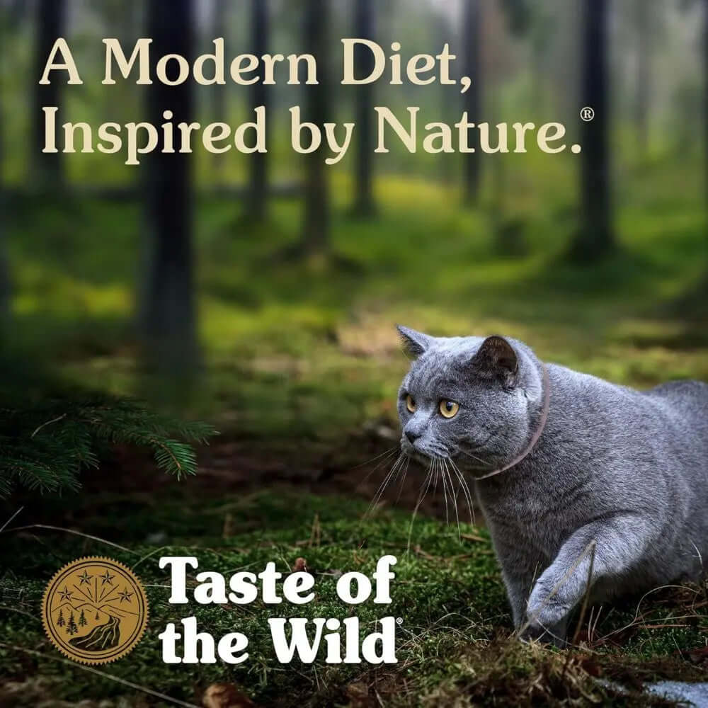 Taste of the Wild Feline Canyon River Cat Food advertisement with a grey cat in a forest.