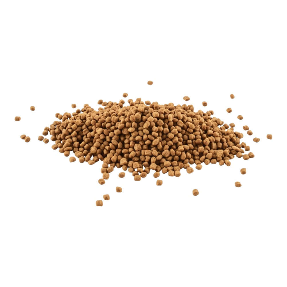 Tetra Goldfish Sticks balanced fish food, high in protein for vibrant and healthy goldfish.