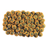 Tetra Pleco Multi Spirulina Wafers 85g, ideal food for large herbivorous bottom-feeding fish, rich in algae and Omega-3.