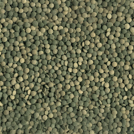 Tetra Pleco Tablets: multi-colored pellets for herbivorous bottom-feeding fish, providing balanced nutrition and health benefits.