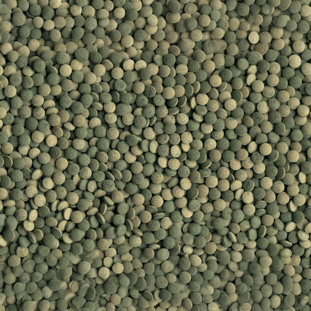 Tetra Pleco Tablets: multi-colored pellets for herbivorous bottom-feeding fish, providing balanced nutrition and health benefits.