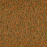 Close-up of assorted lentils, showcasing green and orange hues, ideal for healthy meals and recipes.