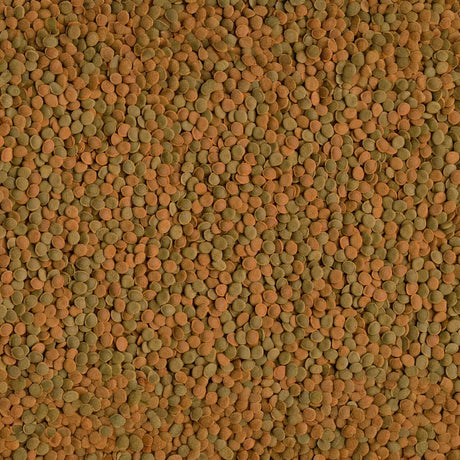 Close-up of assorted lentils, showcasing green and orange hues, ideal for healthy meals and recipes.