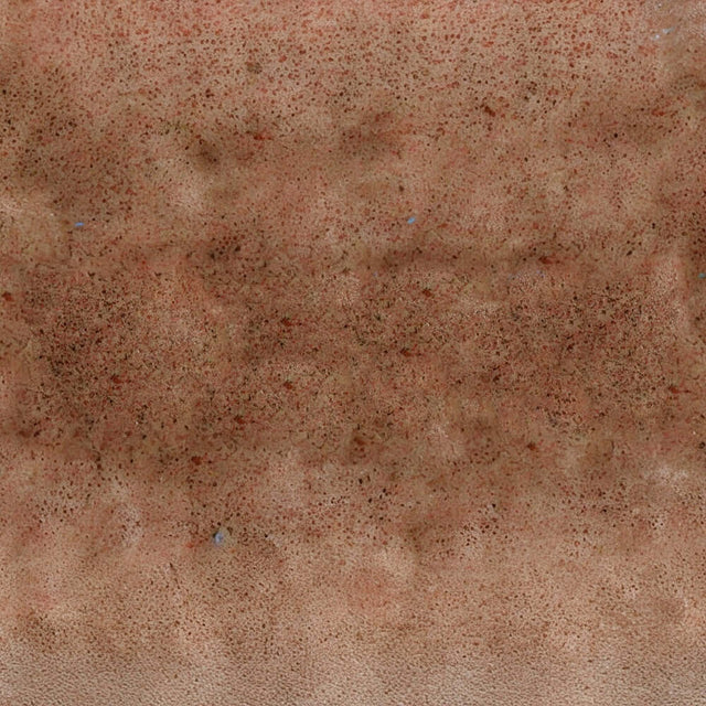 Close-up of textured brown surface with subtle variations in color and pattern, resembling natural material.