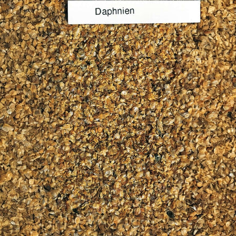 Close-up of Daphnia food, finely crushed, ideal for fish nutrition and enriching the aquarium standard.