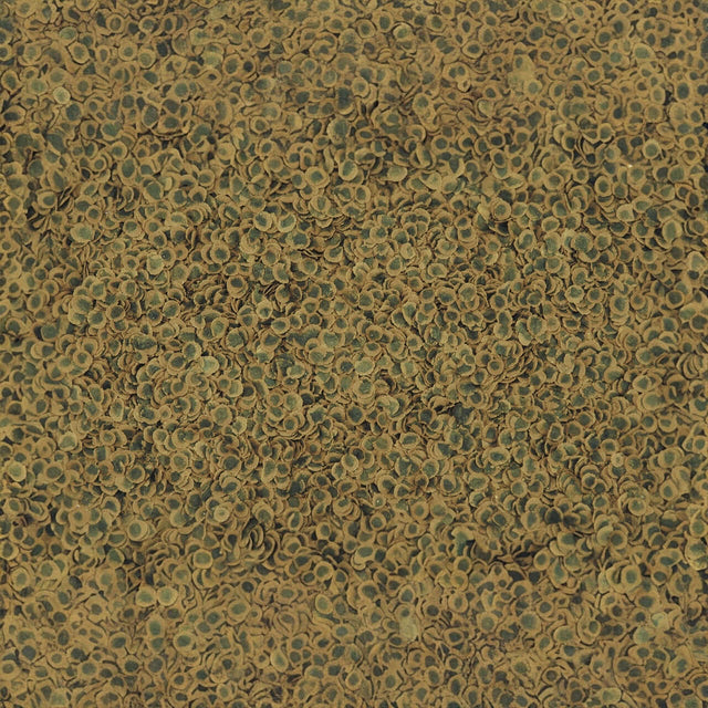 Close-up of TetraPRO Algae Crisps, highlighting the texture and premium quality for fish nutrition.