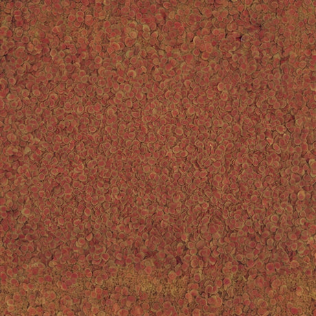 TetraPRO Colour Crisps, a premium fish food featuring vibrant color concentrate for enhanced fish coloration.