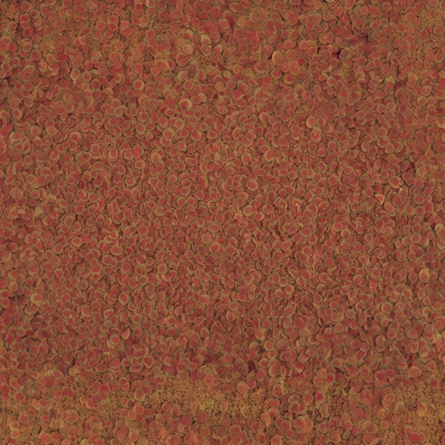 TetraPRO Colour Crisps, a premium fish food featuring vibrant color concentrate for enhanced fish coloration.