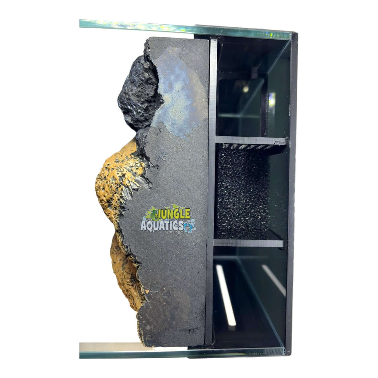 Themed WWW Betta Aqua Aquariums 3D background designed for enhanced depth and visual appeal.