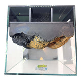 Themed WWW Betta Aqua Aquariums setup with integrated filter and 3D background for enhanced aquatic display.