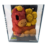 Themed WWW Betta Aqua Aquariums featuring a colorful decorative piece inside the glass tank.