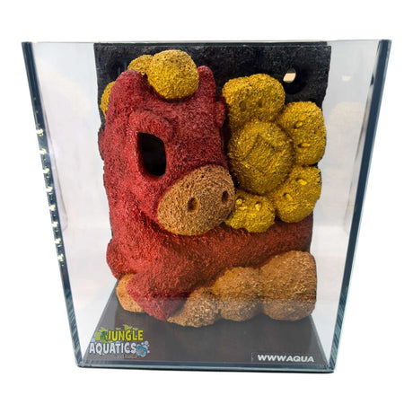 Themed WWW Betta Aqua Aquariums featuring a colorful decorative piece inside the glass tank.