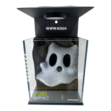 Themed WWW Betta Aqua Aquariums with a ghostly decoration in clear packaging.