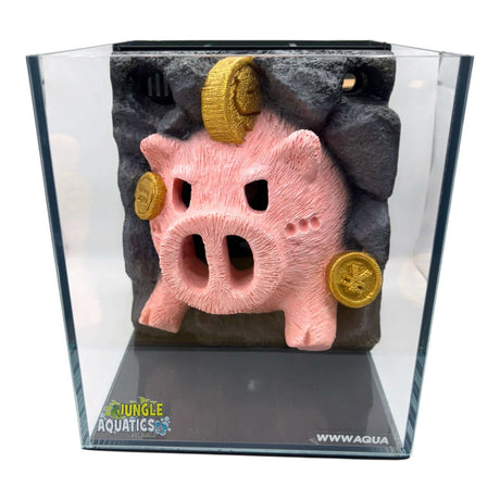 Themed WWW Betta Aqua Aquariums featuring a decorative piggy bank background.