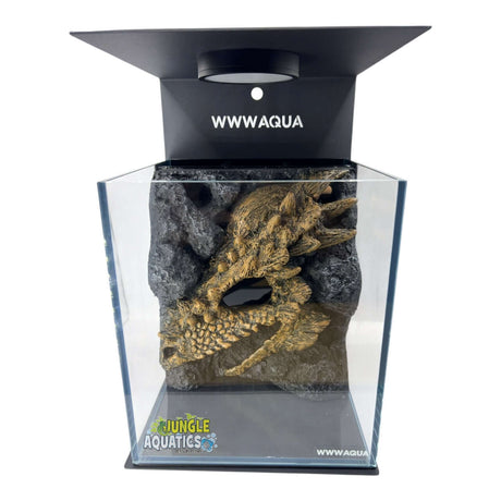 Themed WWW Betta Aqua Aquariums displayed in a clear tank with intricate rock design and WWWAQUA branding.