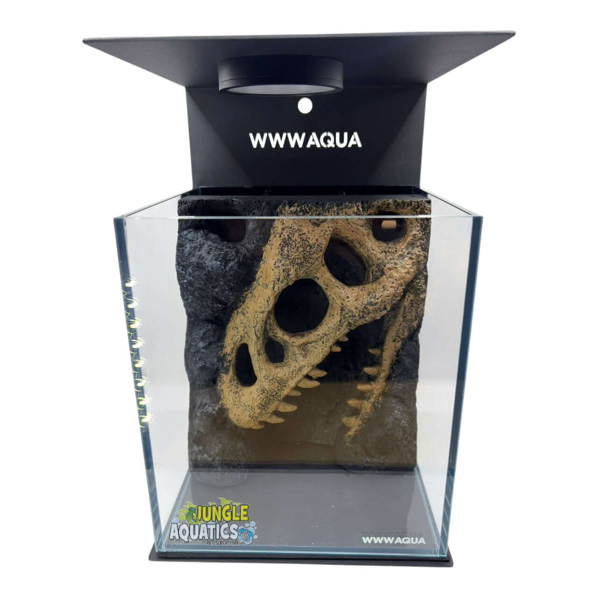 Themed WWW Betta Aqua Aquariums showcasing a striking 3D skull design in an elegant aquarium setup.