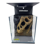 Themed WWW Betta Aqua Aquariums showcasing a striking 3D skull design in an elegant aquarium setup.