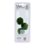 Tropica Aegagropila Linnaei Moss Balls in packaging, showcasing vibrant green spherical algae for aquariums.