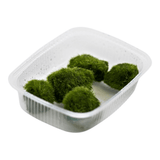 Tropica Aegagropila Linnaei Moss Balls in a clear container, showcasing their vibrant green color and round shape.
