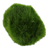 Tropica Aegagropila Linnaei Moss Balls in vibrant green, ideal for freshwater aquariums.