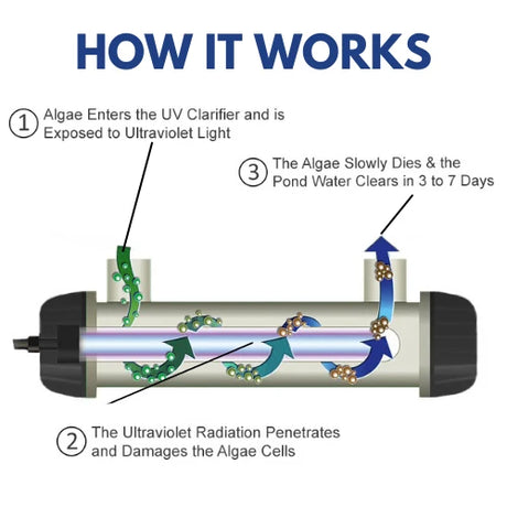 An explanatory diagram titled 'HOW IT WORKS' showing a cylindrical pond filter or clarifier with labeled steps about algae being exposed to ultraviolet light, damaged algae cells, and cleared pond water in 3 to 7 days.