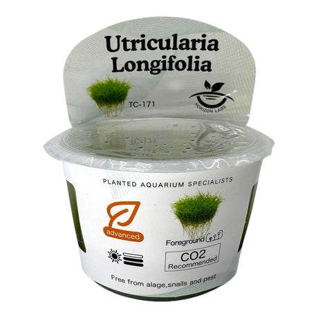 Utricularia Longifolia TC Tropical Plant in a planting cup for aquariums, featuring detailed care instructions.
