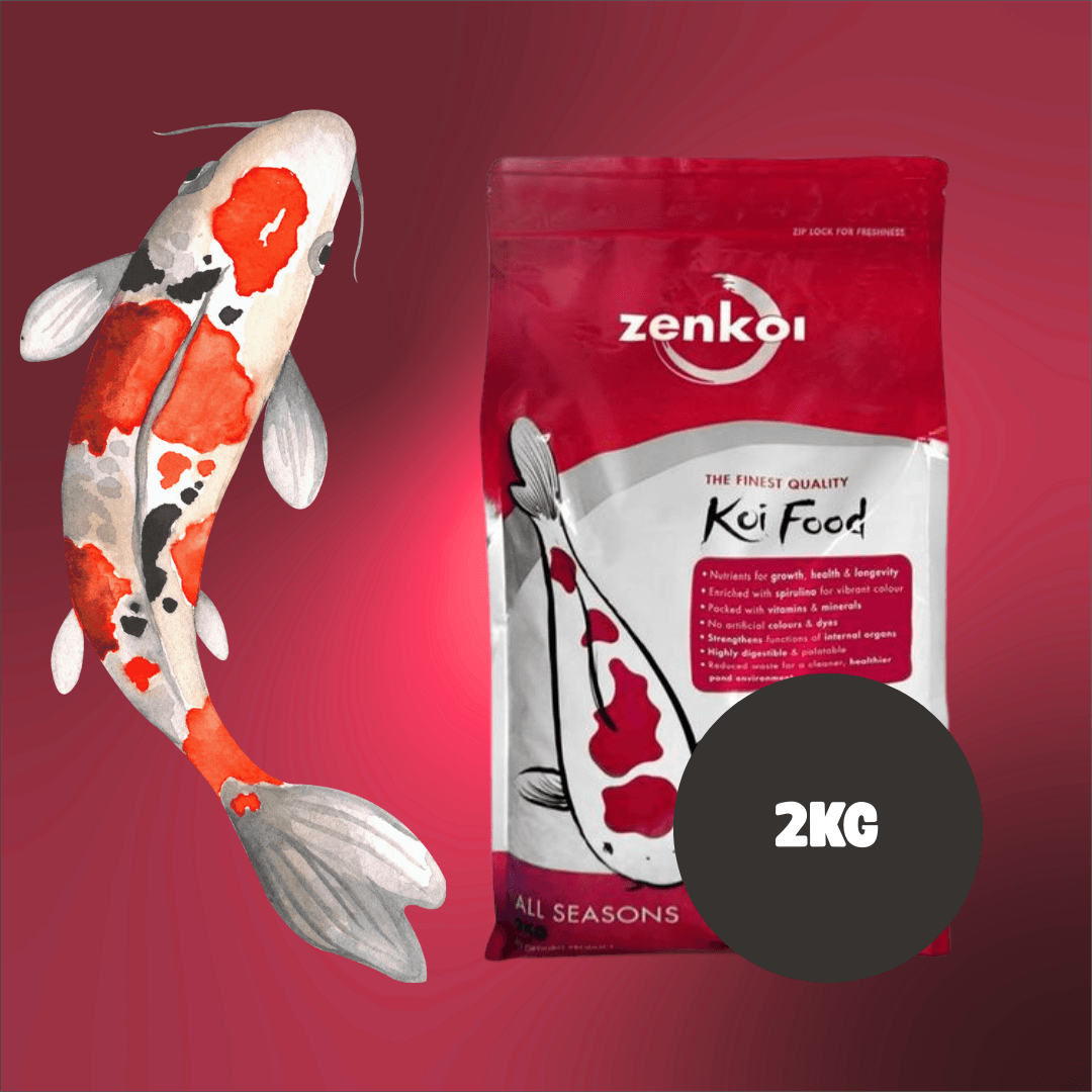 Zenkoi Pond Food All Season packaging with koi fish illustration, 2KG, nutrition for koi and ornamental fish.