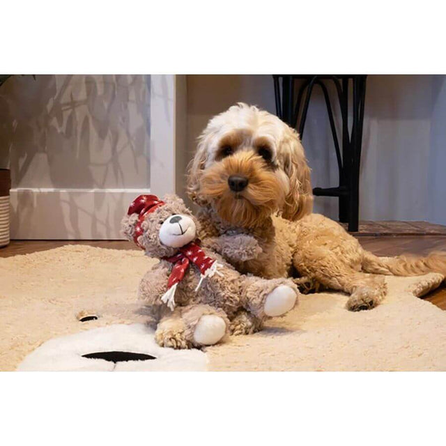 Cute dog cuddling with a soft teddy bear wearing a festive scarf on a cozy rug.