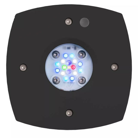 Prime 16 HD LED Reef Light - Black with colorful LED bulbs for vibrant aquarium illumination.
