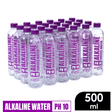 Designer Water Alkaline Ionized Water Still in 500 ml bottles with pH level 10 for optimal hydration.