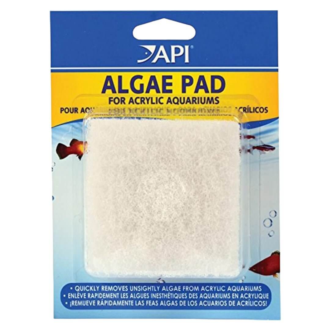 API Algae Scraper Pad for acrylic aquariums packaging, designed for effective algae removal and cleaning.